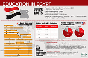 EgyptInfographic112013