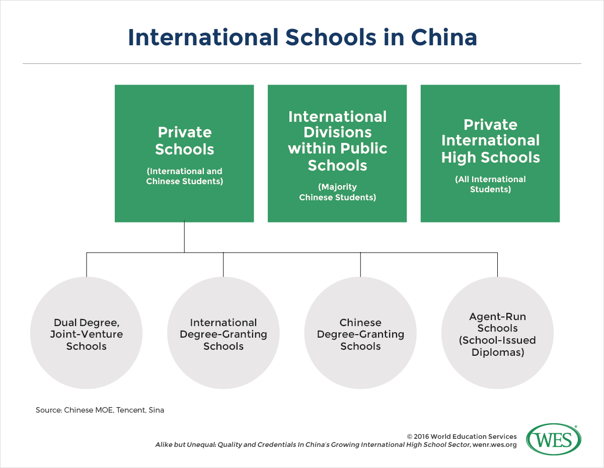 An infographic showing the different types of international schools in China. 