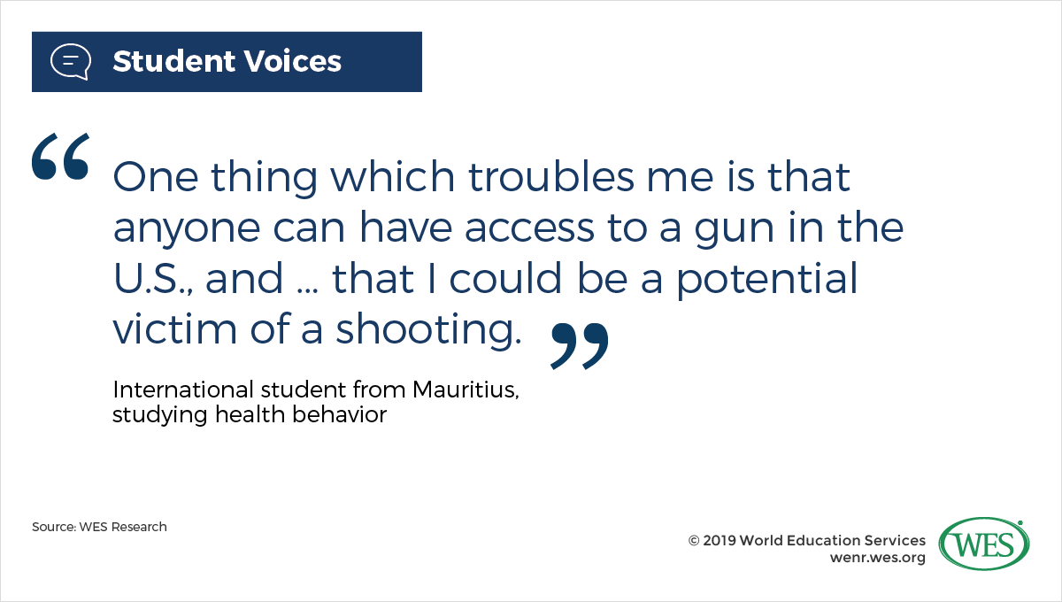 Dismantling the Lethal Threat to International Enrollment: Student Views on Gun Violence and Safety image 2: a quote from an international student that says "one thing which troubles me is that anyone can have access to a gun in the U.S."